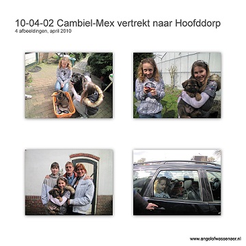 Cambiël-Mex vertrekt naar Hoofddorp